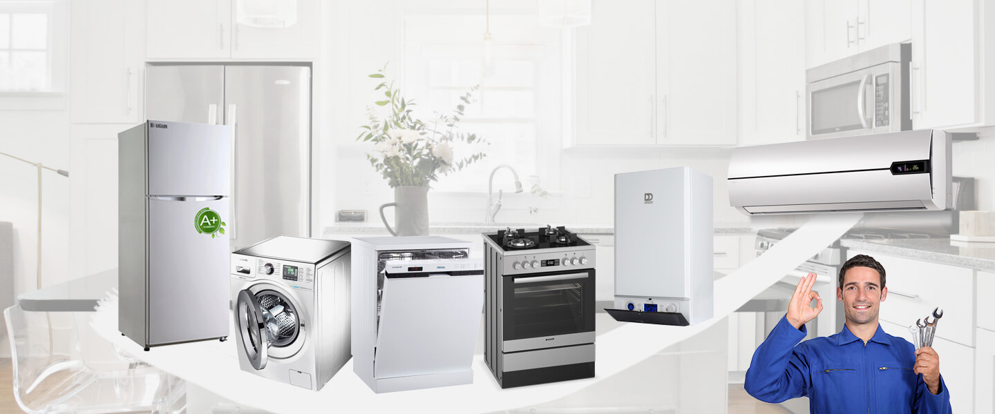 Araban Dominox Servisi